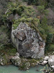 �R�ǐ�ɂ����藧����Ɗ��